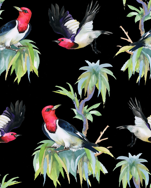 木の枝に熱帯の鳥 - 写真・画像