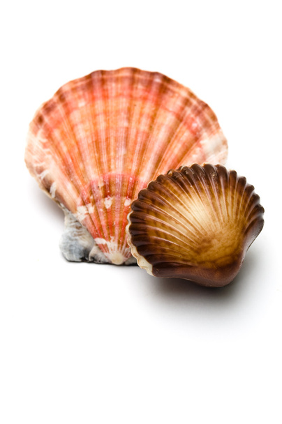 Chocolate seashell in front of a real one - Photo, Image