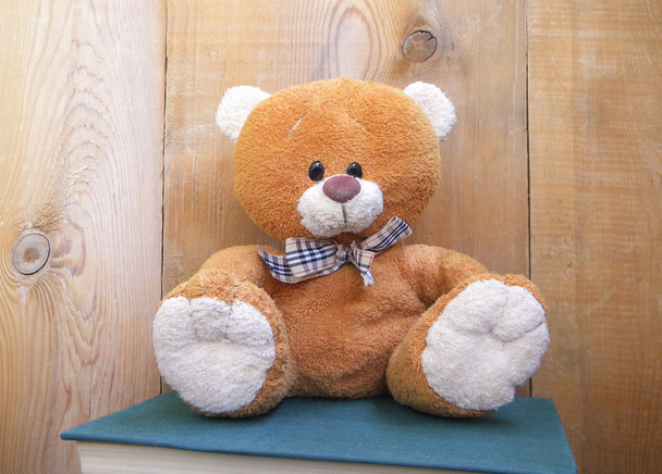 Spielzeug-Teddybär auf Holzgrund - Foto, Bild