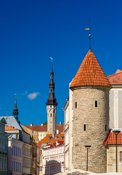 エストニア - タリン旧市街の眺め - 写真・画像