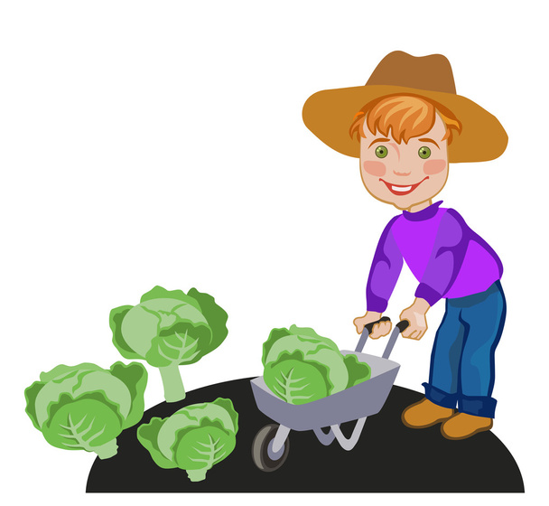 Kleiner Junge arbeitet auf einem Gemüsebauernhof - Vektor, Bild