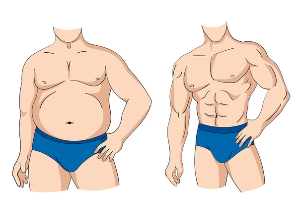 Fat And Fit - Vector, Image