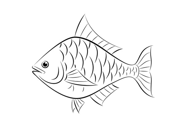 魚を描く - ベクター画像