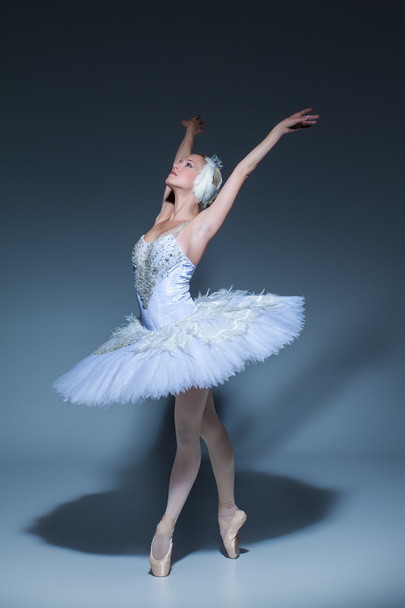 Portrait of the ballerina in ballet tatu on blue background - Foto, imagen
