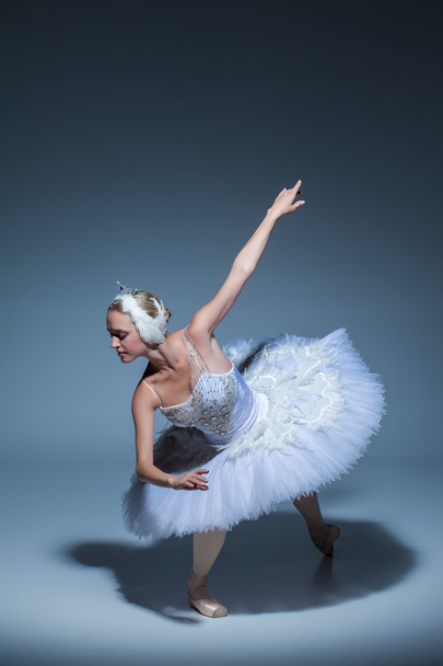 Portrait of the ballerina in ballet tatu on blue background - Фото, изображение