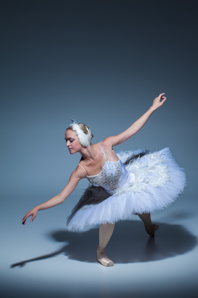 Portrait of the ballerina  in the role of a white swan on blue background - Foto, immagini