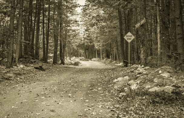 Dead End Road - Photo, Image