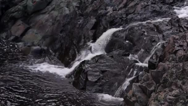 Hirvas cae sobre roca
 - Metraje, vídeo