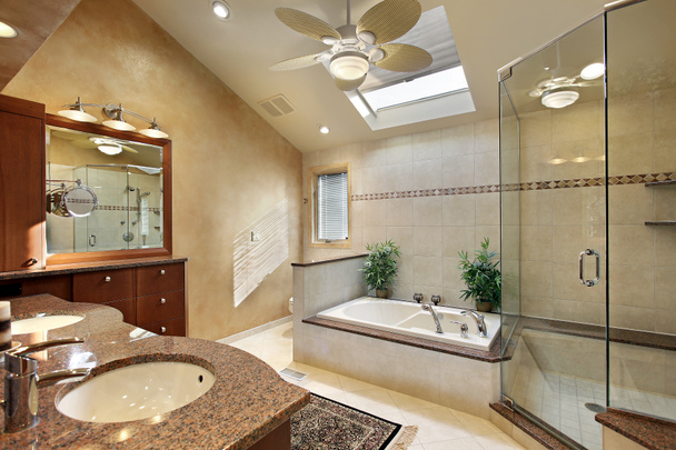 Baño principal moderno con tragaluz
 - Foto, Imagen