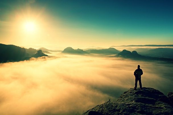 L'uomo si erge sulla cima della roccia arenaria nel parco della Sassonia Svizzera e guarda al sole. Bellissimo miracolo della natura
 - Foto, immagini