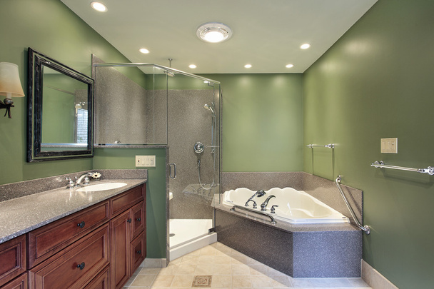 Salle de bain principale avec murs verts
 - Photo, image