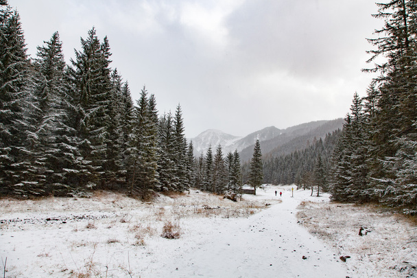 Winter in the mountains - Valokuva, kuva