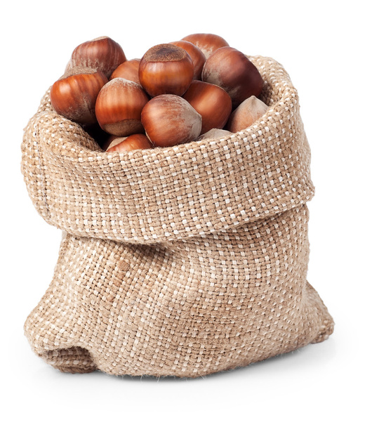 hazelnuts in bag isolated - Φωτογραφία, εικόνα