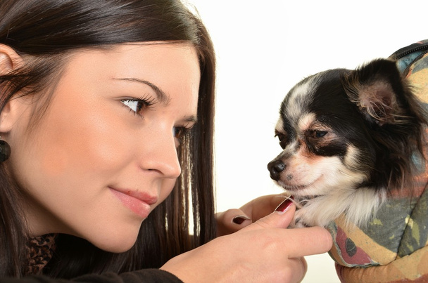 Mädchen posiert im Studio mit ihrem kleinen Hund - Foto, Bild