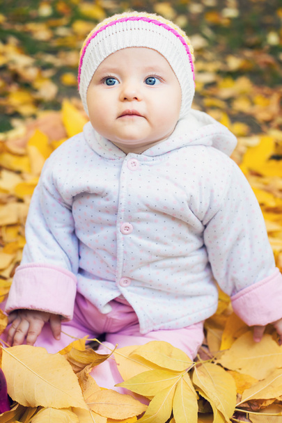portrait of baby at autumn park with yellow leaves background - Foto, immagini