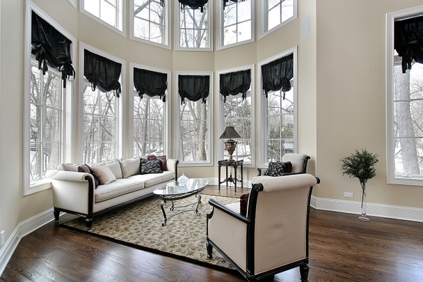 Living room with curved windows - Photo, Image