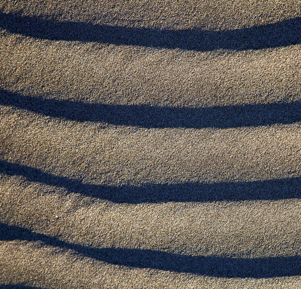 in lanzarote abstract van een droog zand van het strand  - Foto, afbeelding