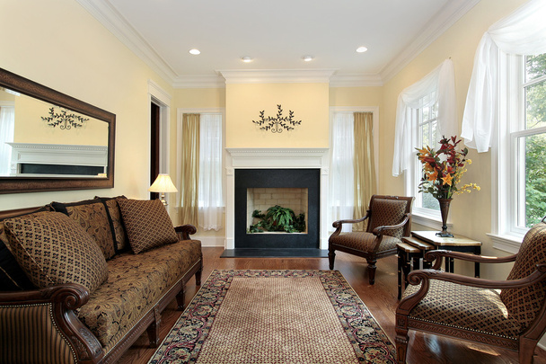 Living room with fireplace - Фото, зображення