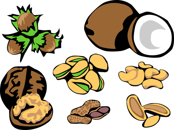 Nüsse - Haselnüsse, Kokos, Walnüsse - Vektor, Bild