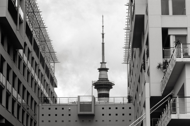 Auckland Sky tower top - Nowa Zelandia - Zdjęcie, obraz