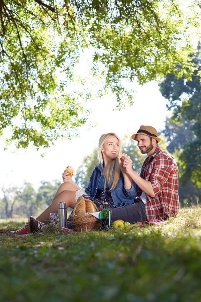 Beautiful Young Couple Having Picnic in Countryside. Happy Famil - Фото, изображение