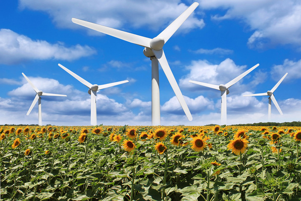 větrný mlýn v poli slunečnic - Fotografie, Obrázek