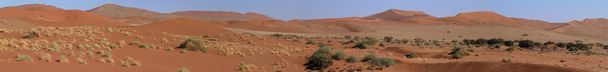 Στην έρημο Namib με το Deadvlei και το Sossusvlei Ναμίμπιας - Φωτογραφία, εικόνα