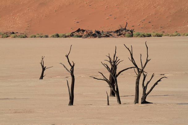 Пустыня Намиб с Дедлэй и Соссусвлей в Намибии
 - Фото, изображение