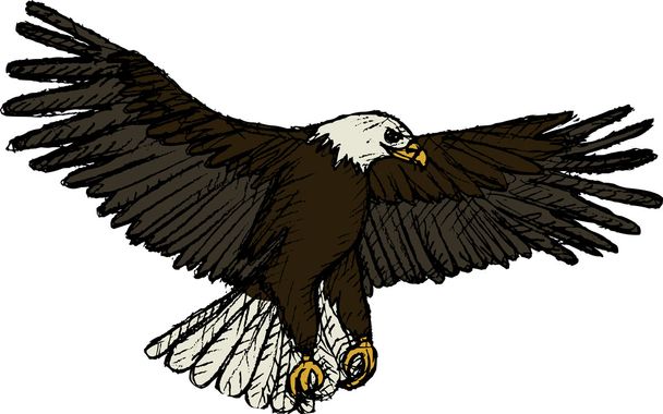 Flying Eagle (vector) - Vektori, kuva
