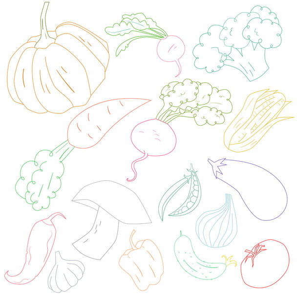 Verduras color contorno vector ilustración
 - Vector, Imagen