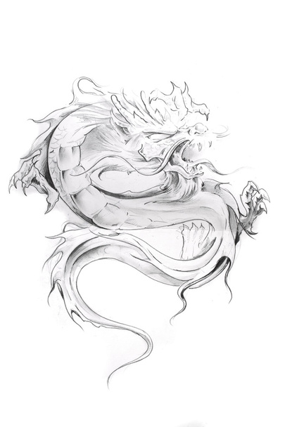 Tattoo art, sketch of an oriental dragon - 写真・画像