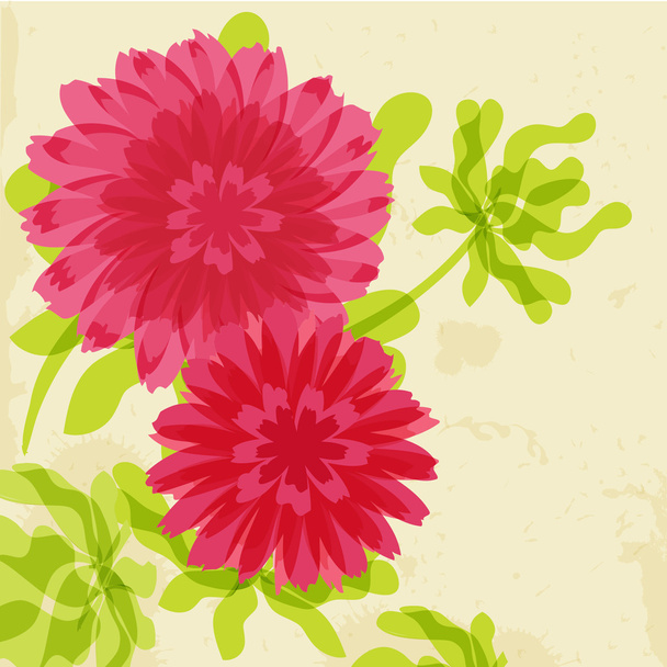 Chrysanthemums on grunge background - Vector, Image