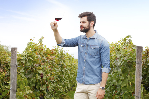 winemaker tasting a glass of  wine - Foto, afbeelding