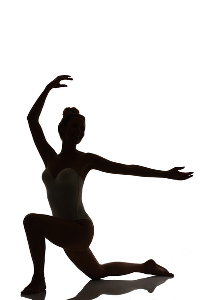 Female Dancer posing silhouette studio shot - Φωτογραφία, εικόνα