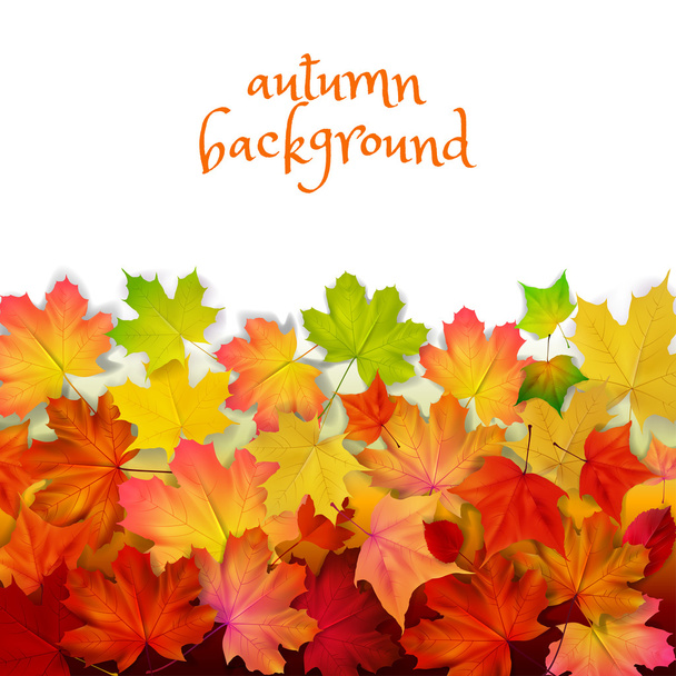 Isolated autumn leaves, wall, yellow, orange colors - Вектор,изображение