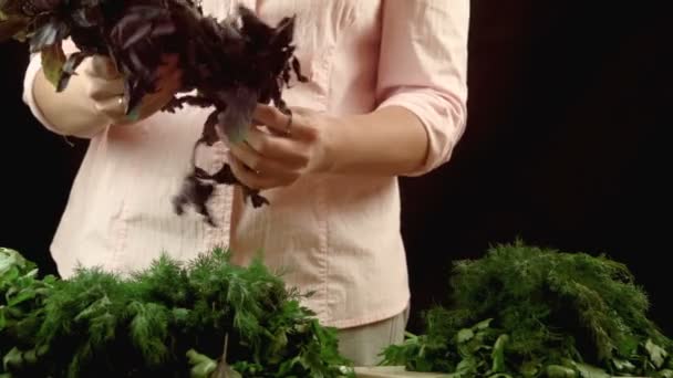 The girl sorts herbs - Footage, Video