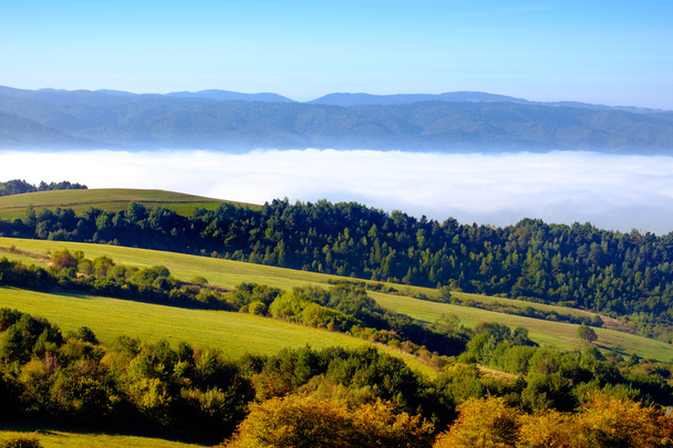 Пейзаж красочных лугов и холмов осенью, Словакия
 - Фото, изображение