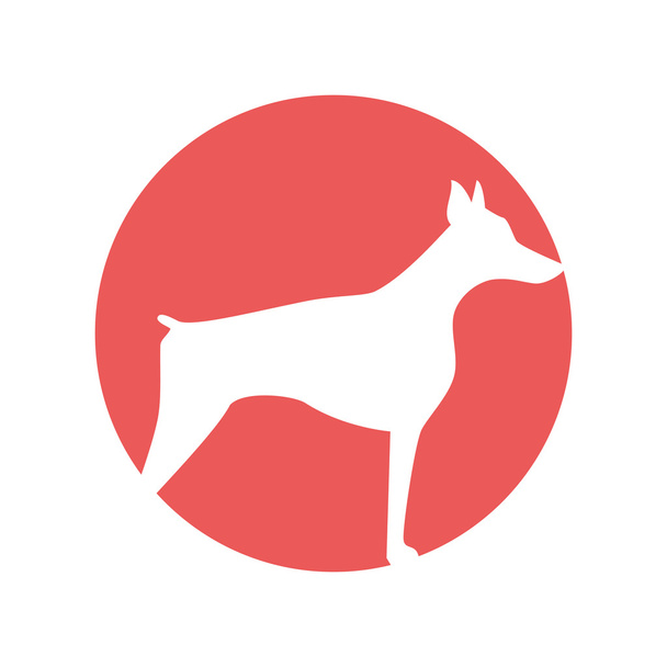 Icono de mascota y animal
 - Vector, Imagen