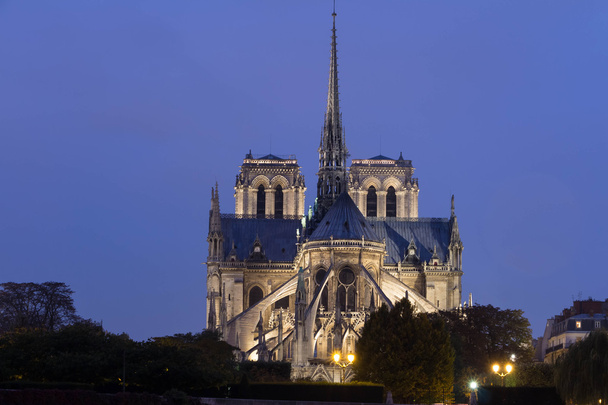 Ο καθεδρικός ναός Notre Dame τη νύχτα, Παρίσι, Γαλλία. - Φωτογραφία, εικόνα