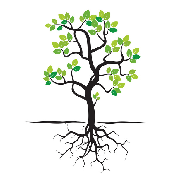 Spring Tree, Green Leafs and Roots. Vector Illustration. - Vector, Image