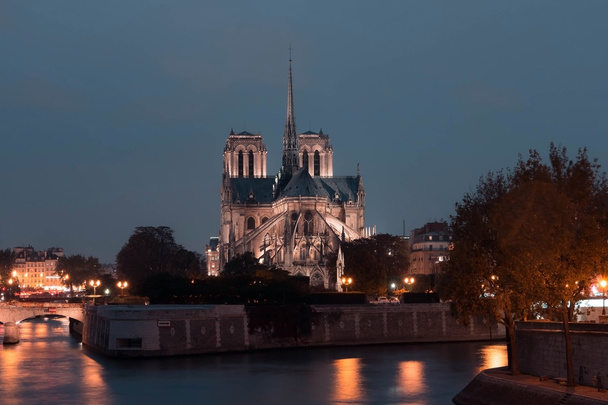 Katedrála Notre Dame v noci, Paříž, Francie. - Fotografie, Obrázek