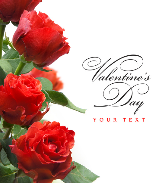 τέχνη ευχετήρια κάρτα με κόκκινα τριαντάφυλλα που απομονώνονται σε λευκό φόντο - Φωτογραφία, εικόνα