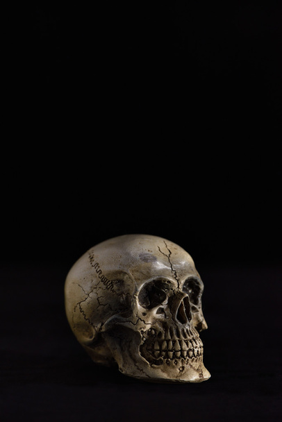 Skull on dark in spot light (Low key) - Foto, Imagem