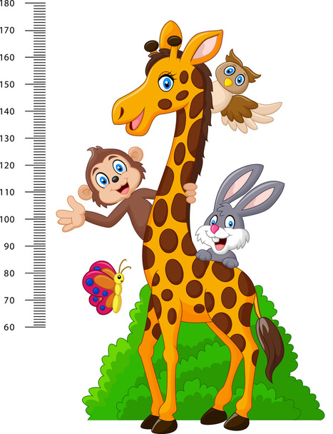 Kids height scale with funny animals - Vector, Image