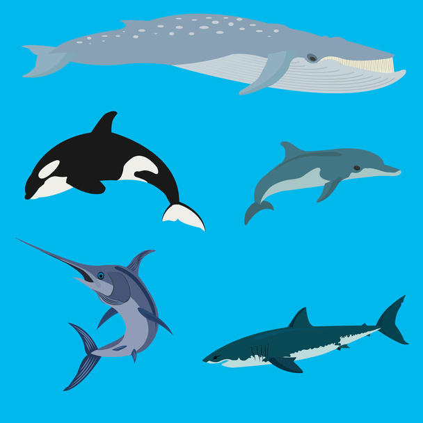 Sea animals and fish vector illustration - Vector, Image