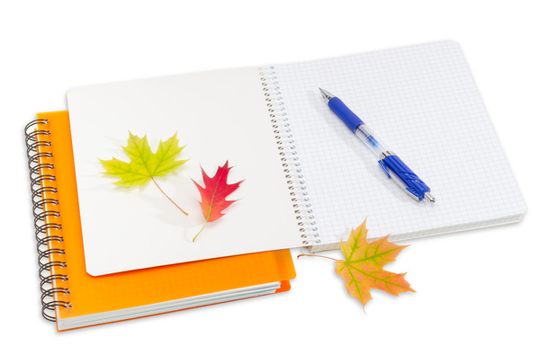 Two notebooks, pen and a few autumn leaves - Photo, Image