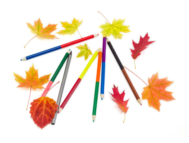 Lápis coloridos e algumas folhas de outono
 - Foto, Imagem