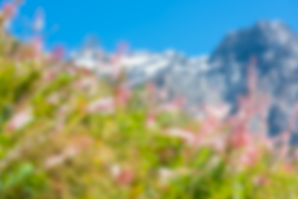 Defocused blur image of mountains and pink flowers - Photo, Image