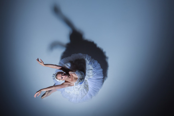 Portrait of the ballerina in ballet tatu on blue background - Valokuva, kuva