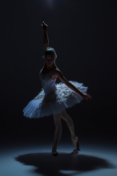 Portrait of the ballerina in ballet tatu on dack background - Foto, imagen
